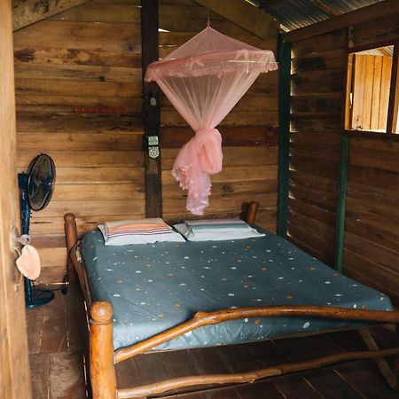 Ferienwohnung Angry Birds Tree House Habarana Exterior foto