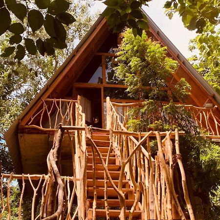 Ferienwohnung Angry Birds Tree House Habarana Exterior foto