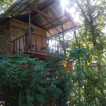 Ferienwohnung Angry Birds Tree House Habarana Exterior foto