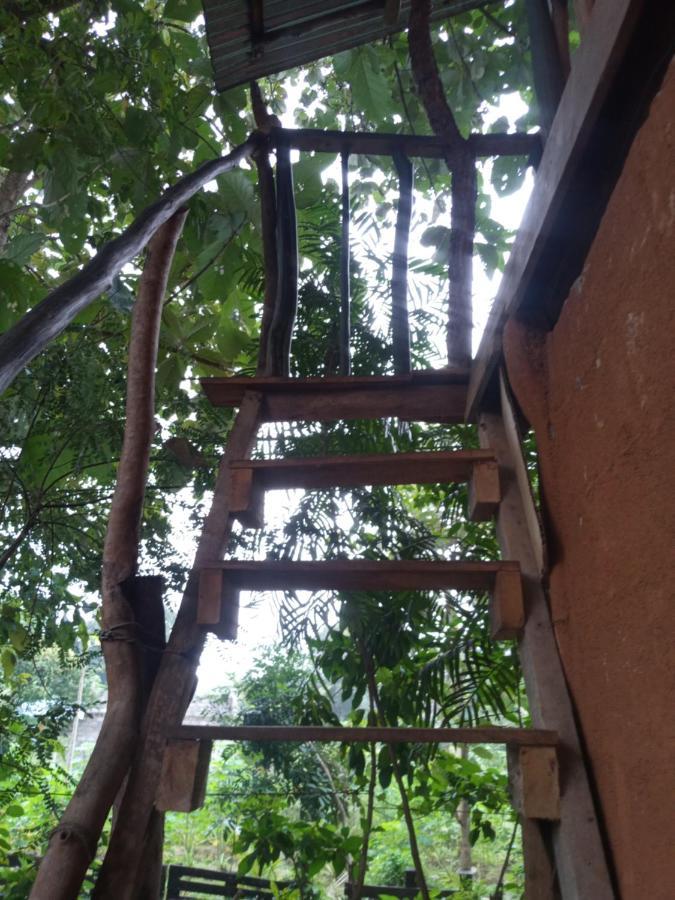 Ferienwohnung Angry Birds Tree House Habarana Exterior foto