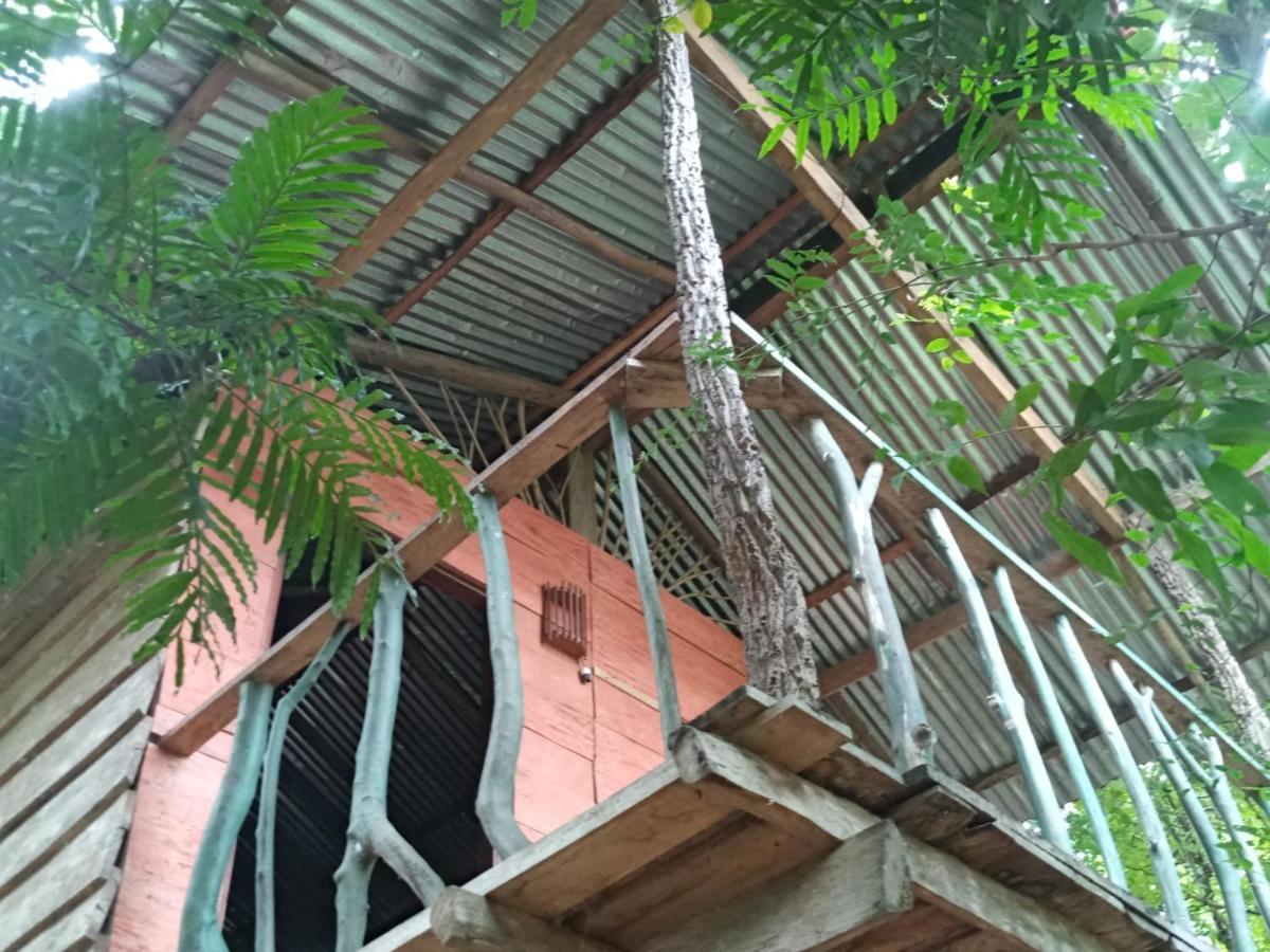 Ferienwohnung Angry Birds Tree House Habarana Exterior foto