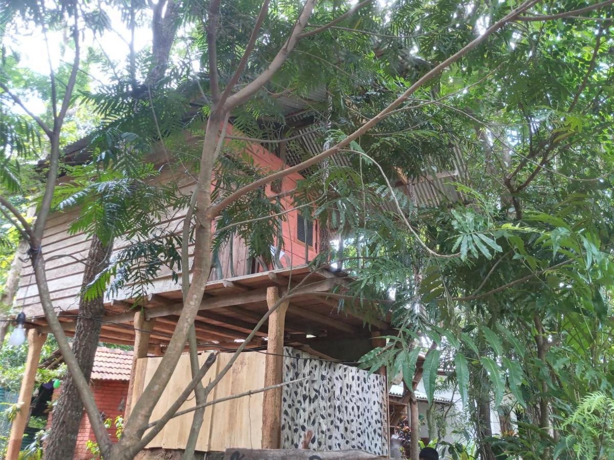 Ferienwohnung Angry Birds Tree House Habarana Exterior foto