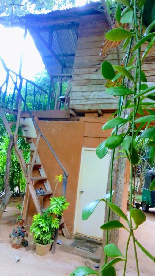Ferienwohnung Angry Birds Tree House Habarana Exterior foto