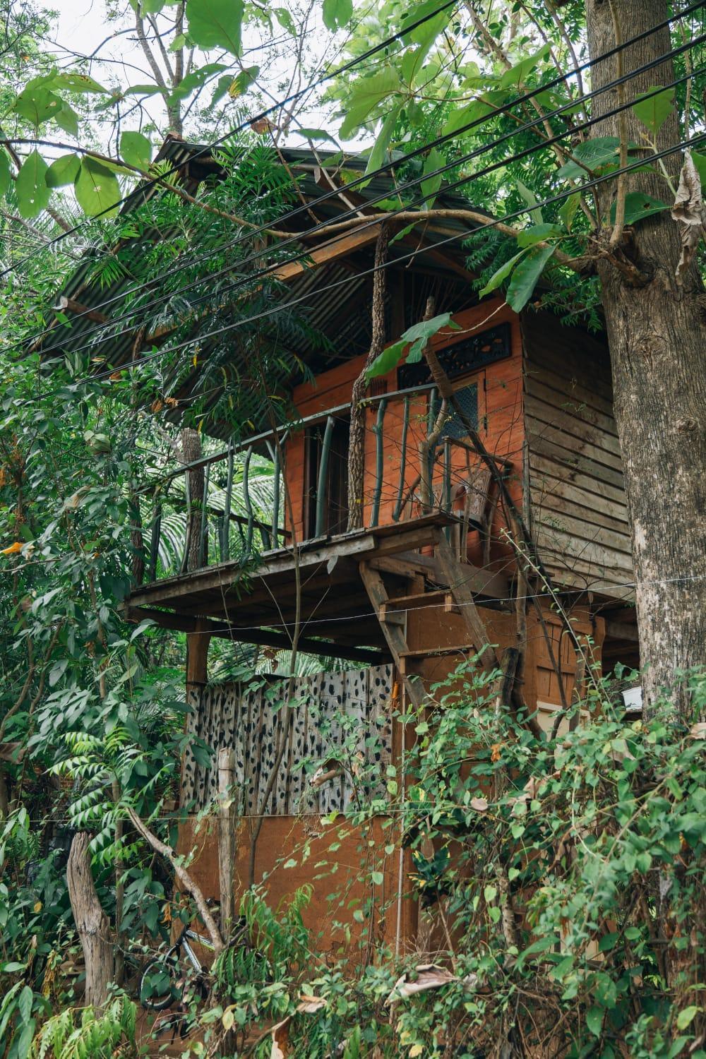 Ferienwohnung Angry Birds Tree House Habarana Exterior foto
