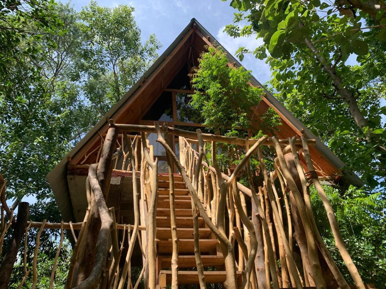 Ferienwohnung Angry Birds Tree House Habarana Zimmer foto