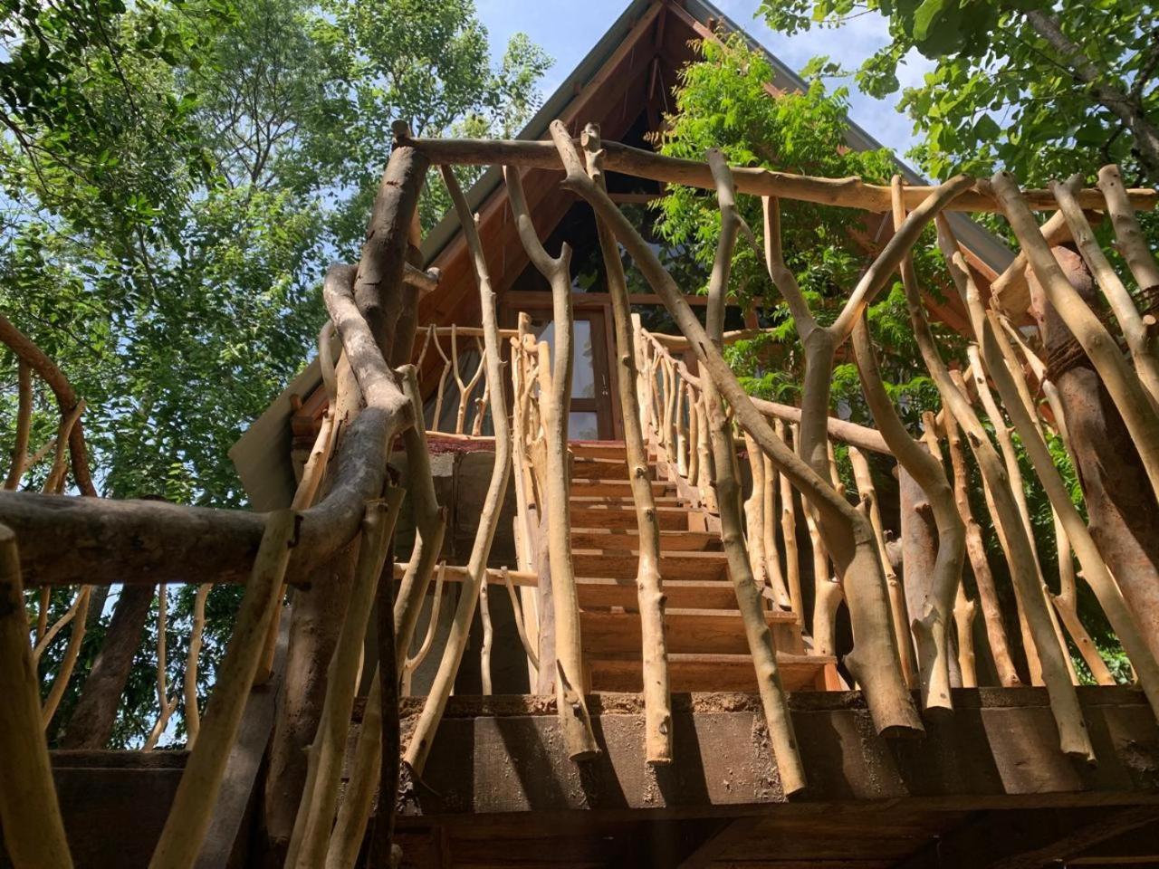 Ferienwohnung Angry Birds Tree House Habarana Exterior foto