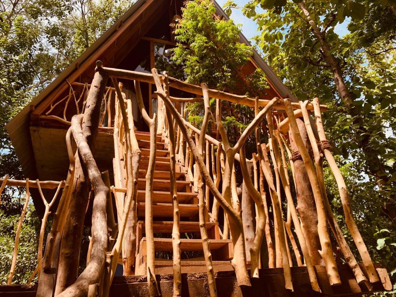 Ferienwohnung Angry Birds Tree House Habarana Exterior foto