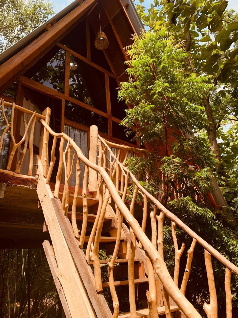 Ferienwohnung Angry Birds Tree House Habarana Exterior foto