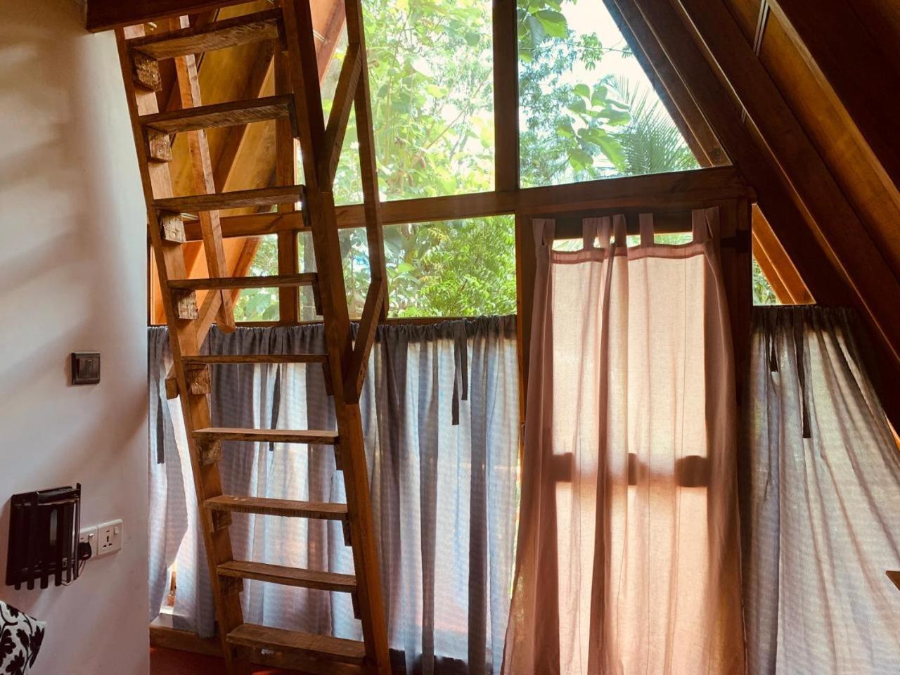 Ferienwohnung Angry Birds Tree House Habarana Exterior foto