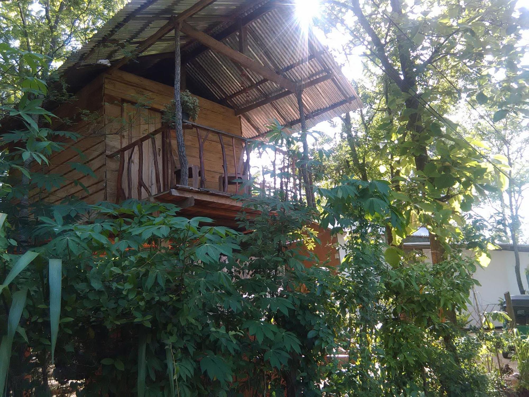 Ferienwohnung Angry Birds Tree House Habarana Exterior foto