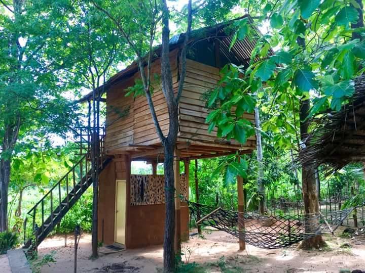 Ferienwohnung Angry Birds Tree House Habarana Exterior foto