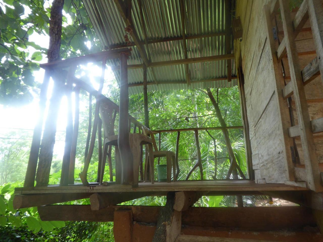 Ferienwohnung Angry Birds Tree House Habarana Exterior foto
