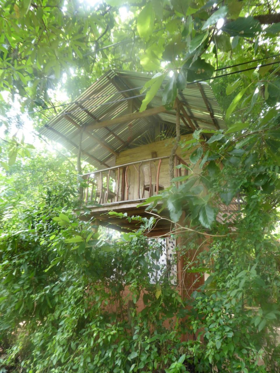 Ferienwohnung Angry Birds Tree House Habarana Exterior foto