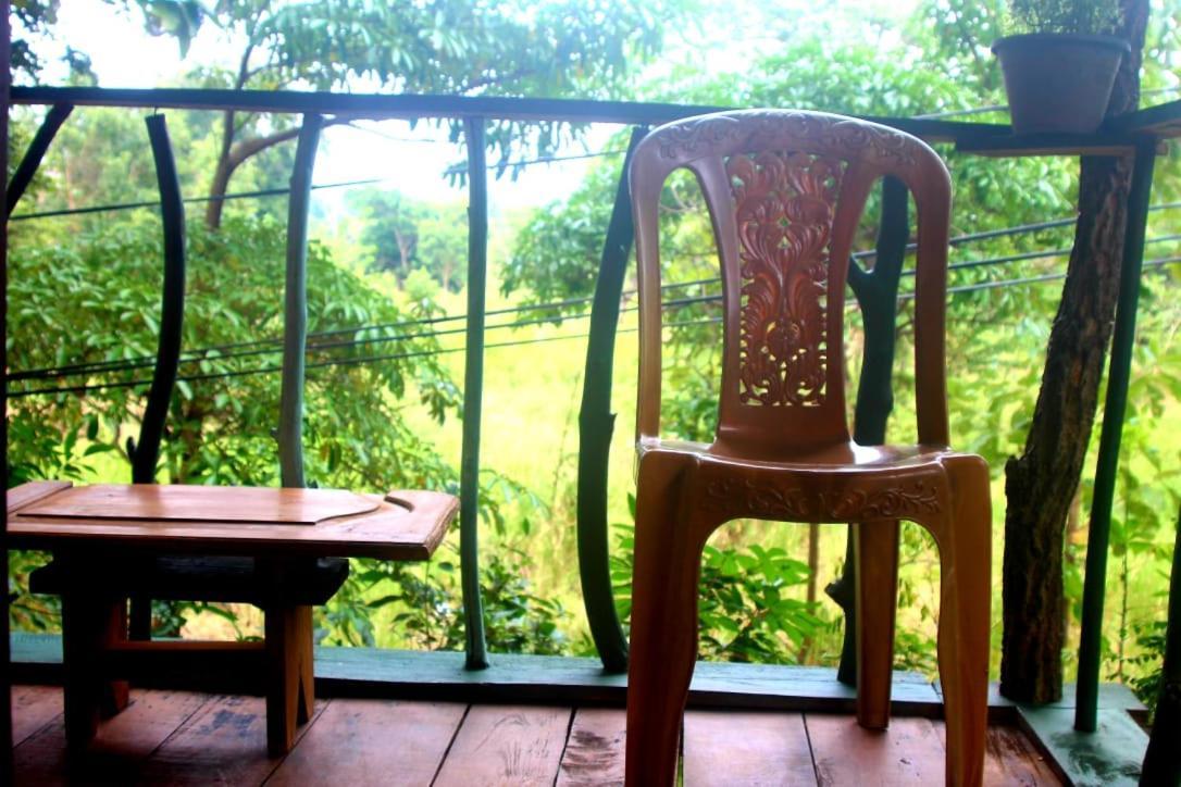 Ferienwohnung Angry Birds Tree House Habarana Exterior foto